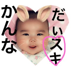 [LINEスタンプ] かんにゃ