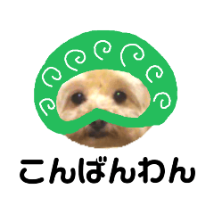 [LINEスタンプ] ウチの自宅警備員