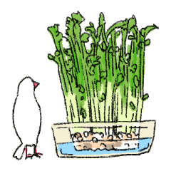 [LINEスタンプ] 白文鳥のししゃも
