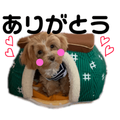 [LINEスタンプ] 問ラン