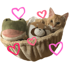 [LINEスタンプ] うちのトラ男