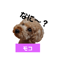 [LINEスタンプ] うちのこwww