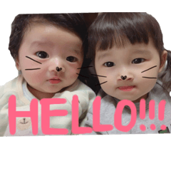 [LINEスタンプ] ぴっぴとたいぴ