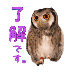 [LINEスタンプ] ポンちゃんpart2