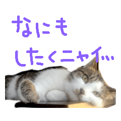 [LINEスタンプ] ちーごまスタンプ
