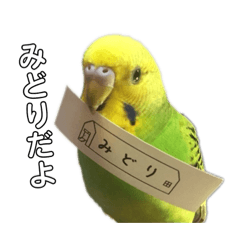 [LINEスタンプ] セキセイインコ みどり2