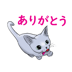 [LINEスタンプ] ロシアンブルーあね01