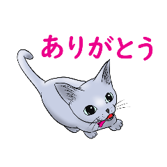 [LINEスタンプ] ロシアンブルーあね01の画像（メイン）