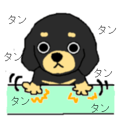 [LINEスタンプ] ブラックタンの子犬3