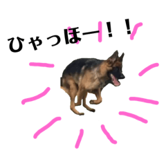 [LINEスタンプ] ディランと愉快な仲間たち パート2