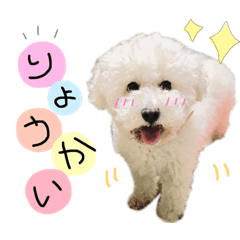 [LINEスタンプ] めめスタンプ1