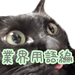 [LINEスタンプ] ねこさんがいっぱい業界用語編