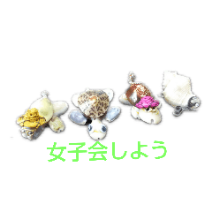 [LINEスタンプ] 海亀女子