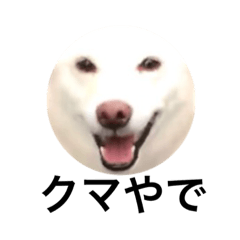 [LINEスタンプ] くまといっしょ