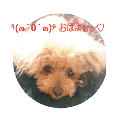 [LINEスタンプ] 可愛い天使達♡2