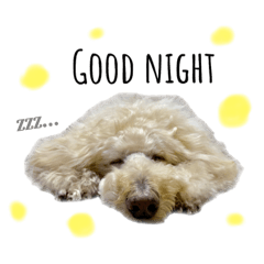 [LINEスタンプ] 今日のひまこも 