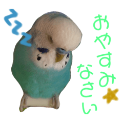 [LINEスタンプ] ぴちゃじく 