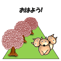 [LINEスタンプ] 桜-三匹の犬たちの画像（メイン）