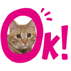 [LINEスタンプ] ジルちゃんスタンプ 1