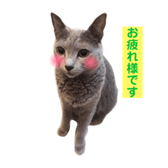 [LINEスタンプ] 敬語ロシアン