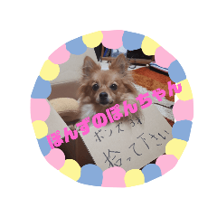 [LINEスタンプ] ぽんずのぽんちゃんだよ