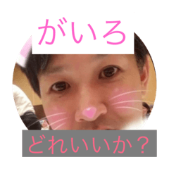 [LINEスタンプ] We're ごちゅーせい