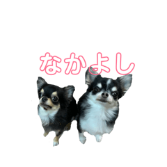 [LINEスタンプ] むぎ＆せら