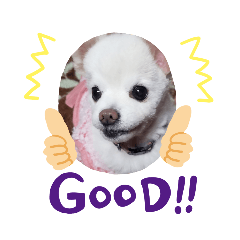 [LINEスタンプ] よん友いろいろ