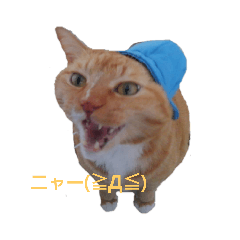 [LINEスタンプ] 風太スタンプ①