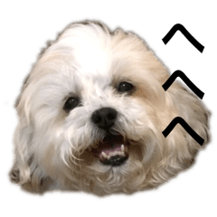 [LINEスタンプ] しゅうもこ シリーズ1