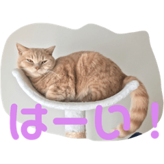 [LINEスタンプ] 陽気なブリトニー＆おてんばサブリナ 3
