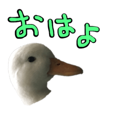 [LINEスタンプ] イチ君とリョーマ君のヤツ