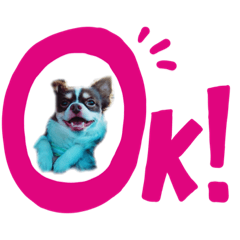 [LINEスタンプ] わんこつめあわせ 