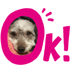 [LINEスタンプ] 日常のわんこ 