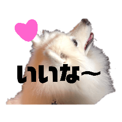 [LINEスタンプ] ちぇりちゃんスタンプ