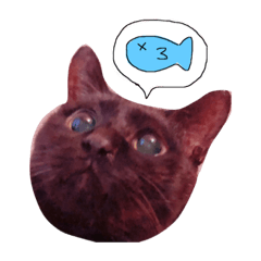 [LINEスタンプ] よーさん家のにゃんこ
