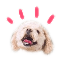 [LINEスタンプ] ラフのひとこと② 
