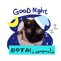 [LINEスタンプ] むぅのあいさつ