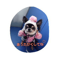 [LINEスタンプ] 親バカスタンプ④
