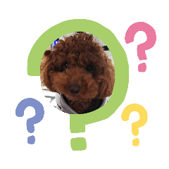 [LINEスタンプ] ボクの言葉3