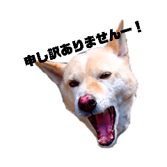 [LINEスタンプ] えーるくん1