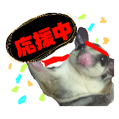 [LINEスタンプ] モモンガ（ふぅた）猫（リン）の日常2