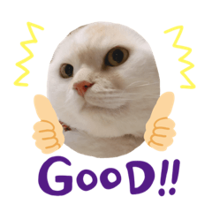 [LINEスタンプ] 拓坊スタンプだよー