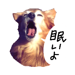 [LINEスタンプ] わんごころと秋の空2