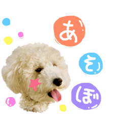 [LINEスタンプ] もめたんのスタンプset①