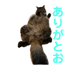 [LINEスタンプ] 楓6