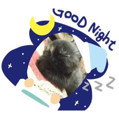 [LINEスタンプ] マルニャンズ 