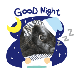 [LINEスタンプ] 黒うさぎさん挨拶スタンプ
