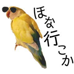 [LINEスタンプ] 関西弁のコザクラインコ 