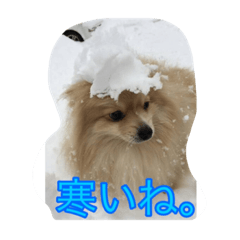 [LINEスタンプ] ウル君の日常③